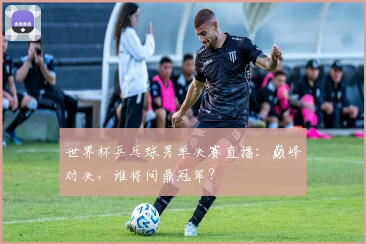 世界杯乒乓球男单决赛直播：巅峰对决，谁将问鼎冠军？